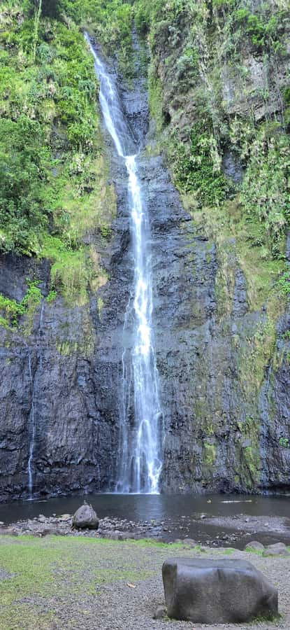 Tahiti: Private Half Day Culture and Nature Highlights Tour - Vaipahi Water Gardens: the gentlest stop