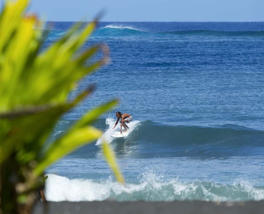 Tahiti: Private Half Day Culture and Nature Highlights Tour - Marae Arahurahu and Tahiti’s older traditions