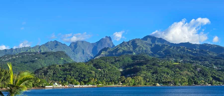 Tahiti Private Half Day Tour. Nature, history and culture - Why this route gives you a useful first look at Tahiti