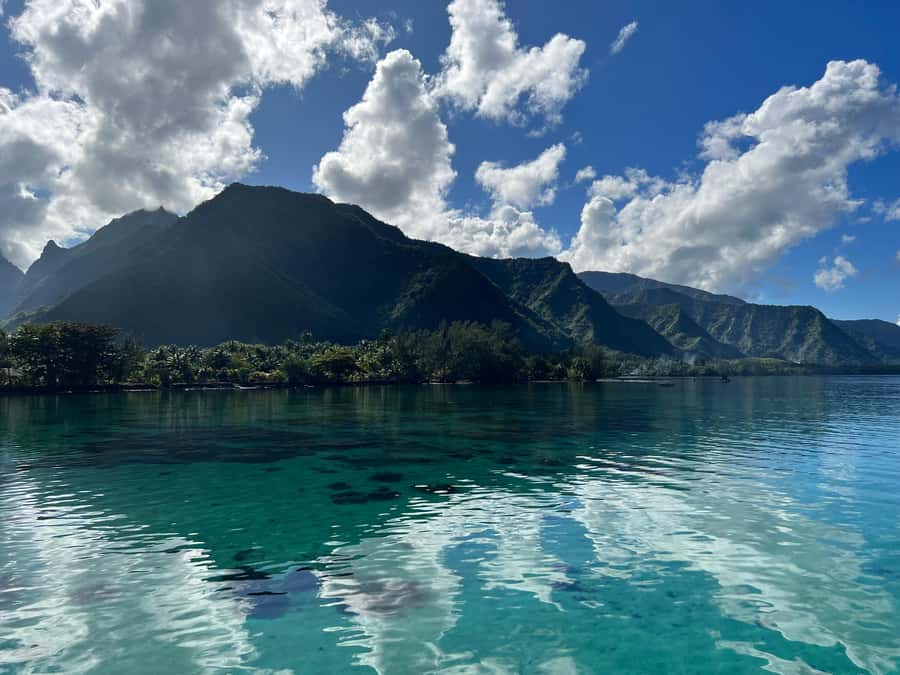 Tahiti: Teahupoo Wave Watching Tour - What the guide adds to the outing