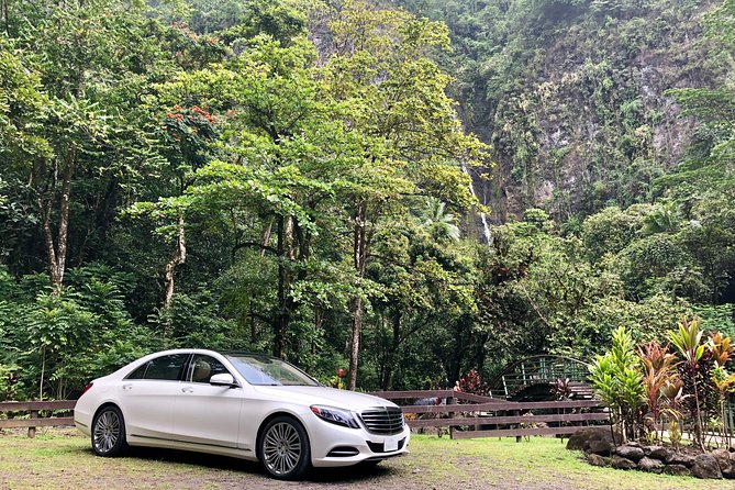 Tahiti: Tour of the East or West Coast (Half Day) - Faarumai Waterfalls and a taste of the interior