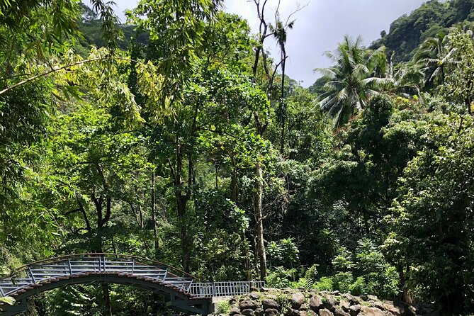 Tahiti: Tour of the East or West Coast (Half Day) - Maraa Grotto and the green interior