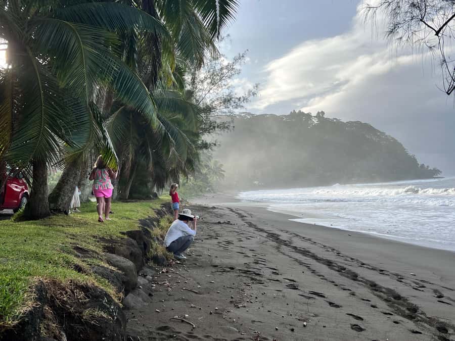 Tahiti: Unique East Coast Half Day Tour with Local Guide - Point Venus and the story of European arrival