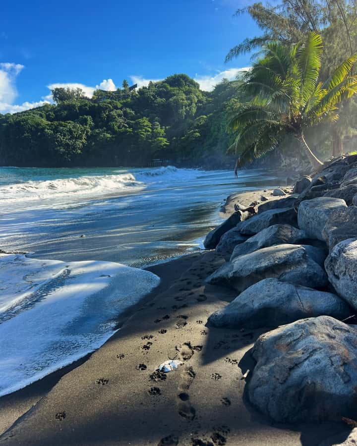Tahiti: Unique East Coast Half Day Tour with Local Guide - Comfortable transport and an unusually small group