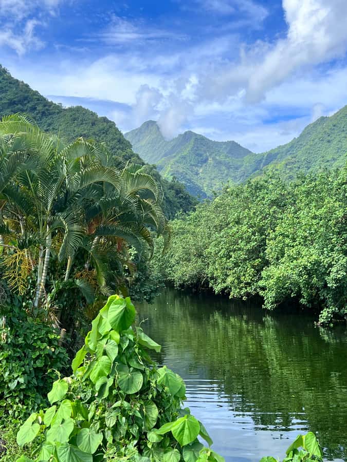 Tahiti: Unique Full Day West Coast, Combo Tour to Teahupoo - Taharuu Beach and the black-sand coast