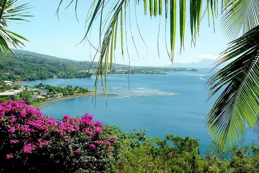 Tahiti: West and East Coast Island Tour with Waterfalls - Maraa Grottos bring water and shade