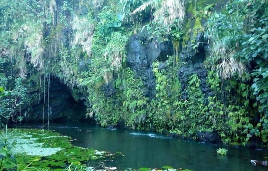 Tahiti: West and East Coast Island Tour with Waterfalls - Faarumai Waterfall supplies the cool moment