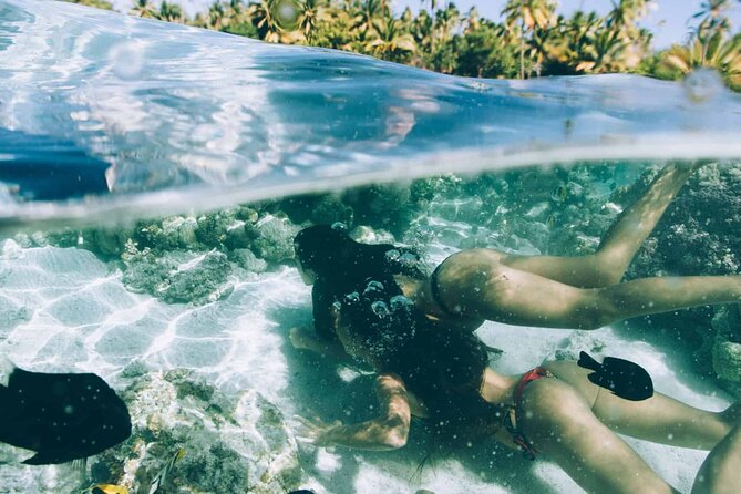 The Vanilla tour of Taha'a in a comfortable outrigger canoe - Snorkeling through Tahaa’s Coral Garden