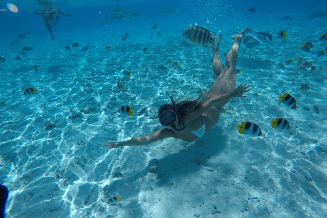 Toa Boat Bora Bora Private Lagoon tour On Ambassador Boat - What is included for the $650 price