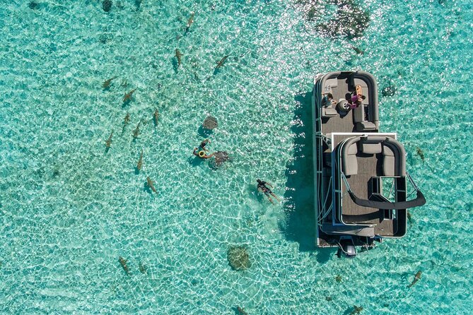 Toa Boat Bora Bora Private Lagoon tour On Ambassador Boat - Who will enjoy this boat most