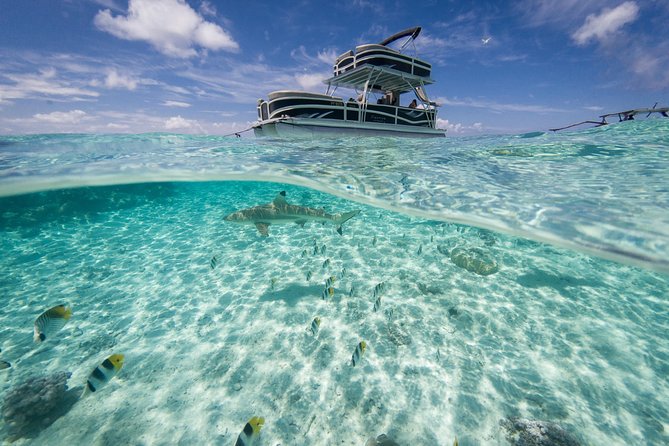 Toa Boat Bora Bora Private Lagoon tour On Ambassador Boat - Timing, pickup, and planning ahead