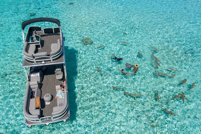 Toa Boat Bora Bora Private Lagoon tour On Ambassador Boat - Snorkeling near rays, sharks, and coral gardens