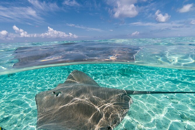 Toa Boat Bora Bora Private Lagoon tour On Majestic Pontoon Boat - Island views from a private floating lounge