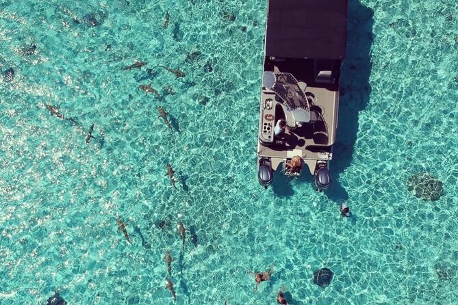 Toa Boat Bora Bora Private Lagoon tour with Lunch on Entertainer Bar Boat - Lunch prepared in the heart of the lagoon
