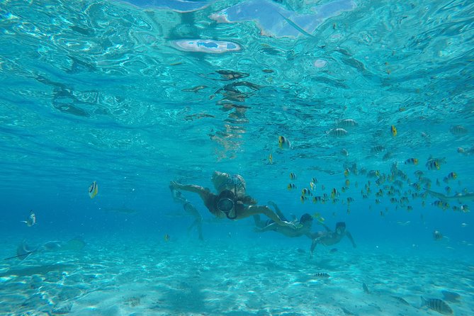 Toa Boat Bora Bora Private Lagoon tour with Lunch on Entertainer Bar Boat - Drinks, music, and time to slow down