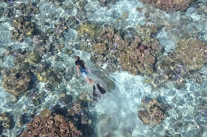 Tohora Bora Bora Snorkeling Lagoon Tours - Is the $179.52 price good value?