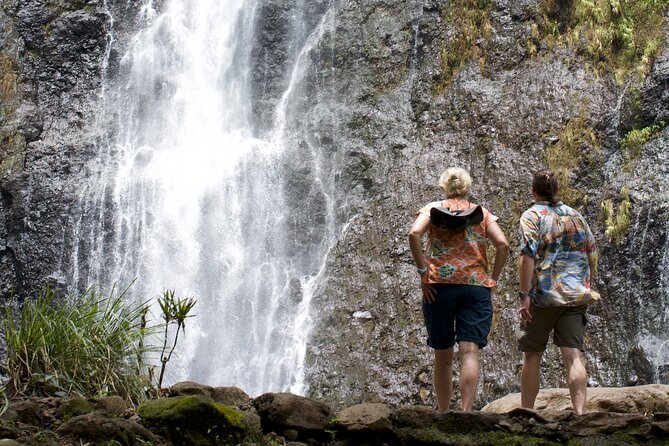 Tour Tahiti in Private - Why this private Tahiti tour works well on a layover