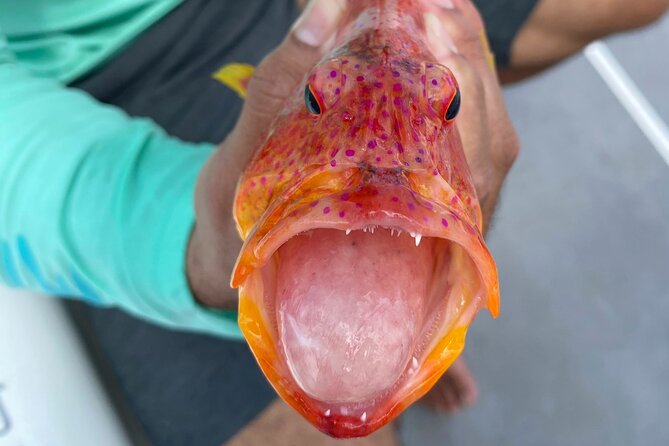 Unique in Raiatea: discover the lagoon, fish, cook, enjoy! - Is $340 a fair price?