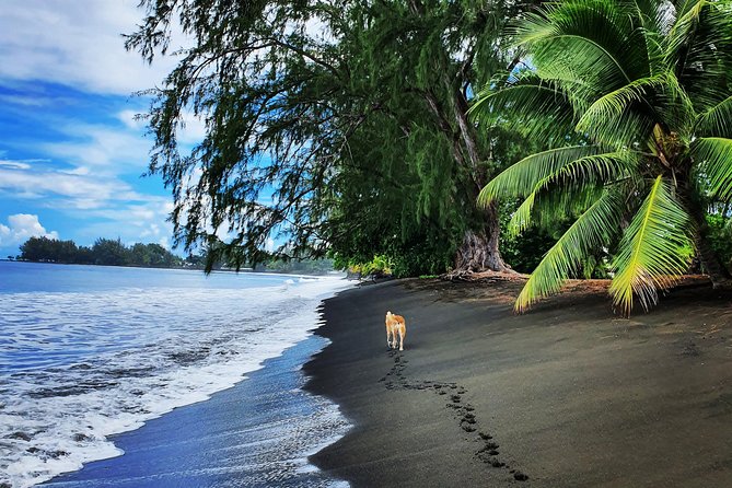 Unique Tahiti Tour - personalised, small group east coast tour - Papenoo Valley and a closer look at island life