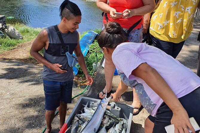 Unique Tahiti Tour - personalised, small group west coast tour - Paea keeps the tour connected to daily life
