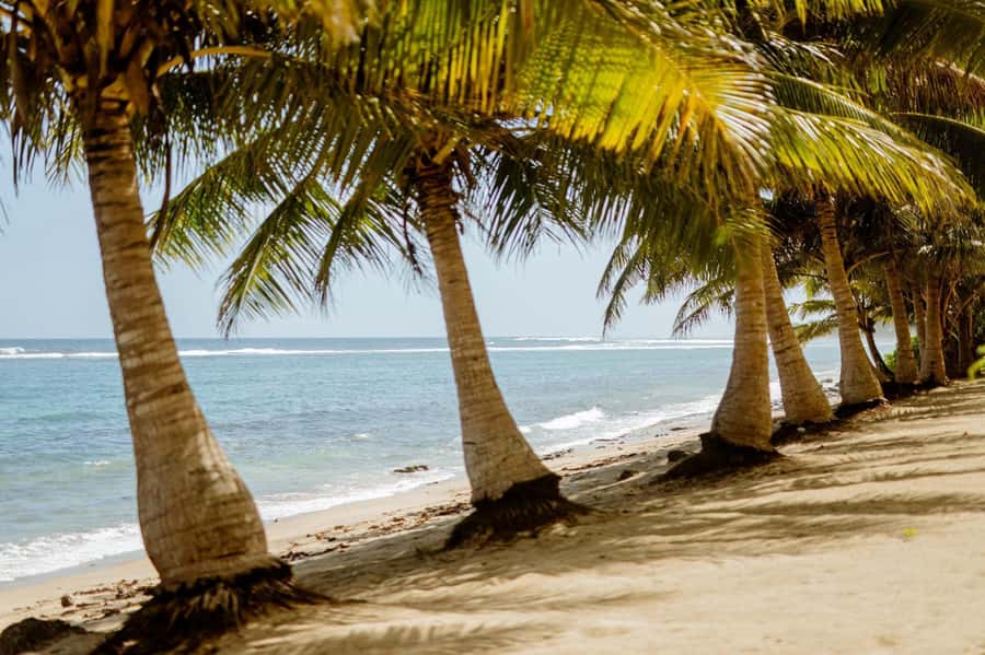 Upolu Samoa Full Day Private Tour - A Big Day Around Upolu