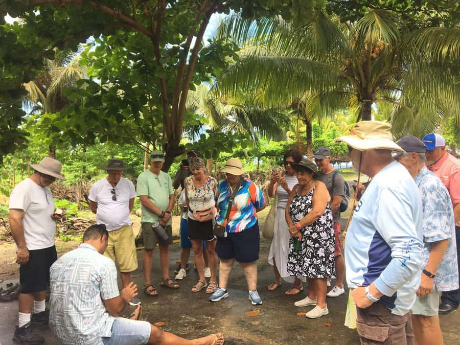 Upolu Samoa Full Day Private Tour - Is $280 Per Person Good Value?