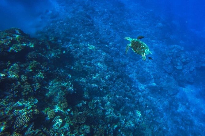 Want to escape? Treat yourself to a snorkeling session in Tahiti! - Setting out along Tahiti’s west coast