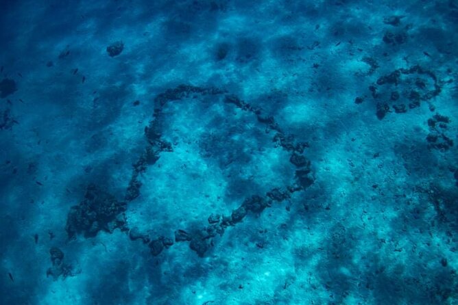 Want to escape? Treat yourself to a snorkeling session in Tahiti! - The wreck near Faa’a Airport