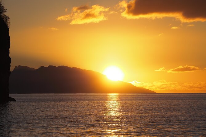 Whale watching 6 people half day - Who should book this Moorea whale tour?