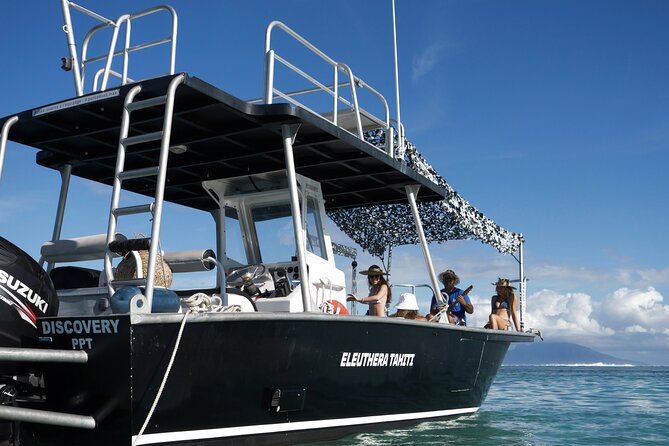 Whale Watching Activity - Who should book this experience