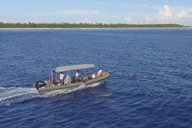 Whale Watching Bora Bora - Guides who keep the mood steady
