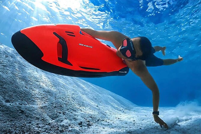 Whale Watching Bora Bora - Booking, weather, and timing details