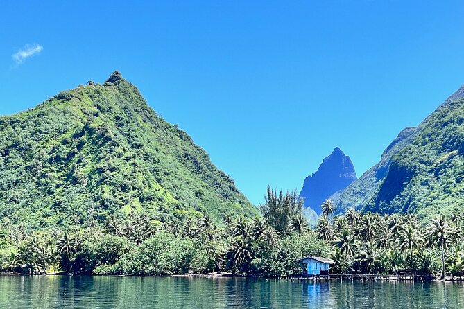 Whale watching DE Tahiti Peninsula - Meeting Tahiti’s humpback whales