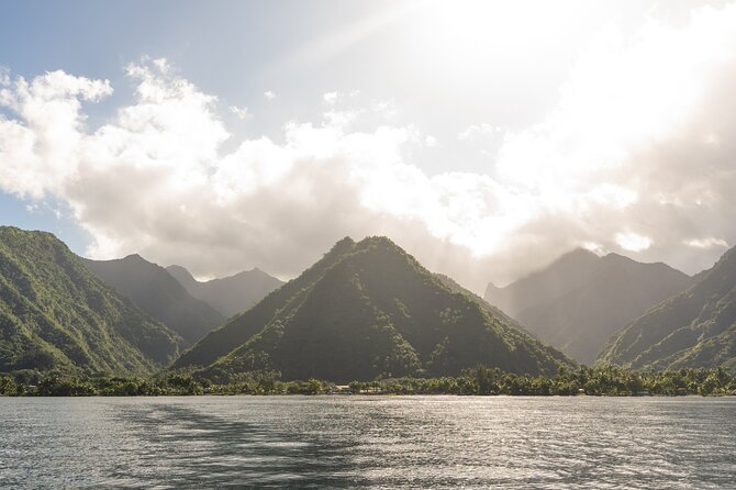 Whale watching DE Tahiti Peninsula - Safety and respect for wild animals