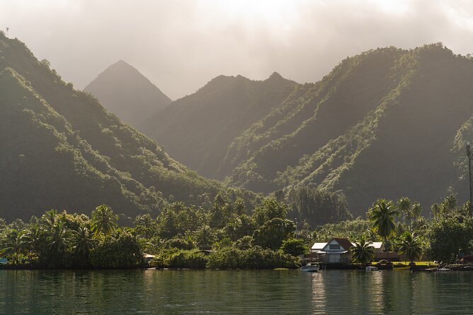 Whale watching DE Tahiti Peninsula - Practical planning for the day