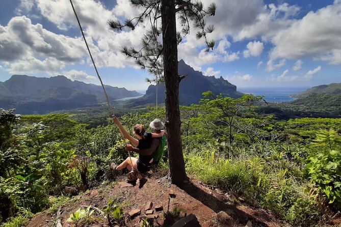 Whale watching in Moorea - Who will enjoy this, and who should skip it
