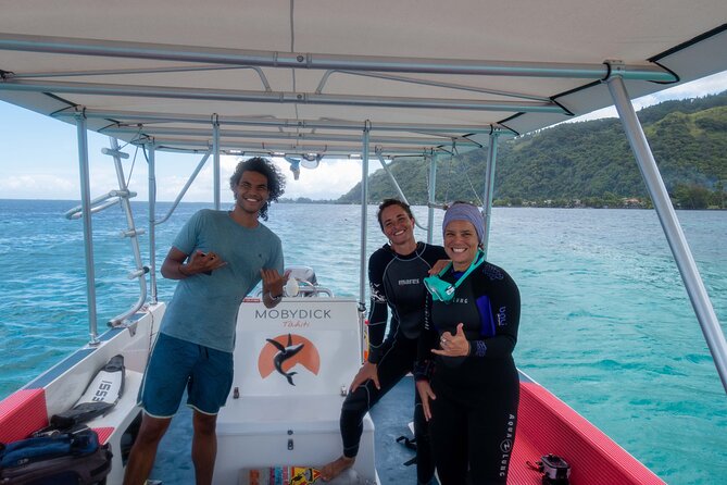 Whale watching on the preserved and quiet coast of Paea (Pk26) - What the $205.27 price is buying you