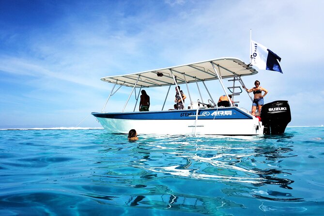 Whale watching on the preserved and quiet coast of Paea (Pk26) - Timing, confirmation, and cancellation details