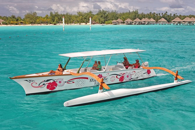 Whale Watching Tours in Bora Bora - Swimming with whales requires real ocean ability