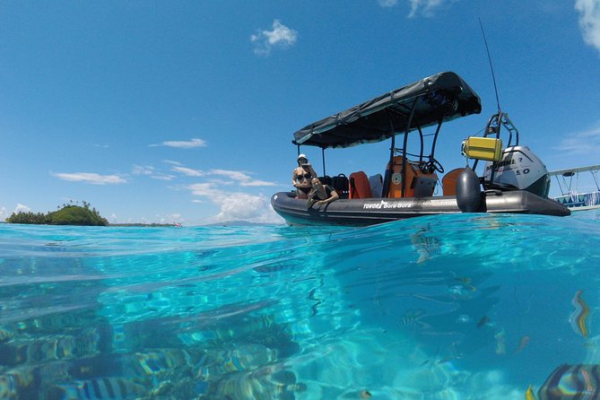Whale Watching Tours in Bora Bora - The price: expensive, but tied to the setup