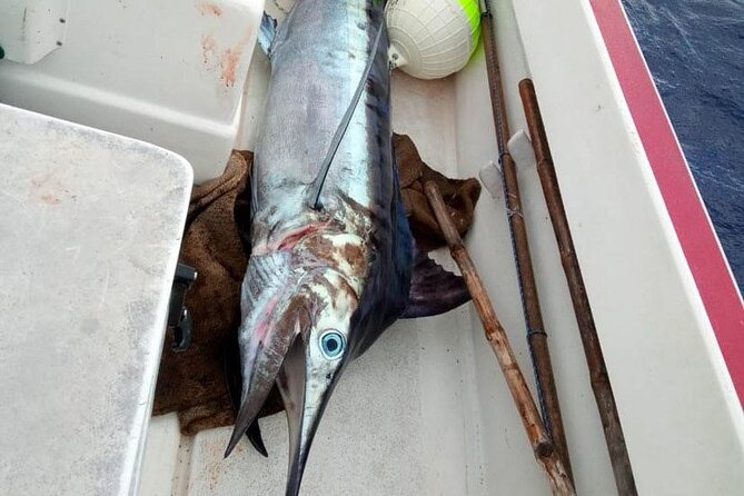 Wholesale Fishing in Poti Marara at Tahiti Teahupoo Peninsula - Captain Yoann and the teaching style